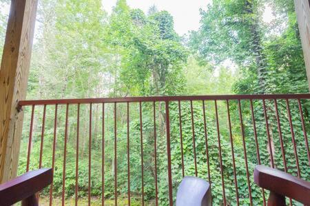 Lodge G Sasquatch Lodges Sleeps 13 蓋特林堡 外观 照片